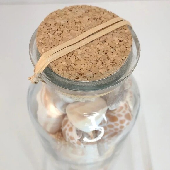 Florida Seashells in Glass Jar with cork Stopper NWOT Handmade Custom Gift - Picture 16 of 16